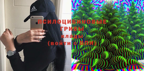 мдпв Магадан